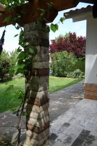 Blick in den vorderen Garten
