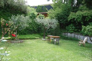 viel Platz im hinteren Garten