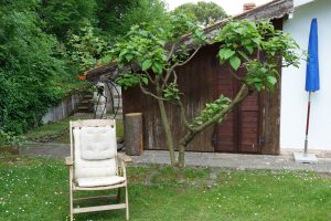 hinterer Garten