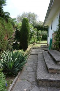 Eingangsbereich: Blick in den hinteren Garten