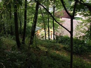 im Wald oberhalb des Haues…