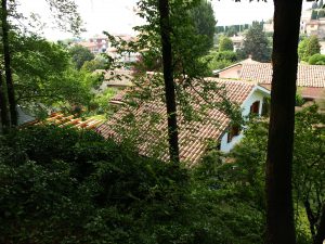 Blick aus dem Wald Richtung Gardasee