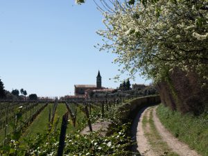 Radfahren und Wandern in der Umgebung