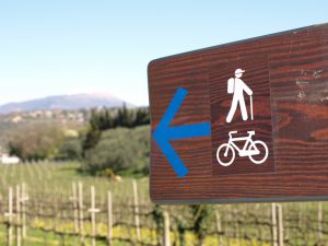 Rad- und Wanderwege durch die Weinberge