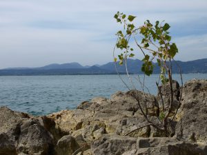 San Vigilio: Blick auf das Westufer